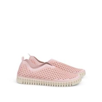 Tulip3275 3536 Ballerina rose