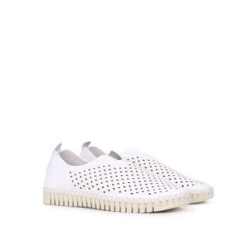Tulip3565 121 milk creme